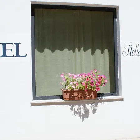 Hotel Stella Marina 3*